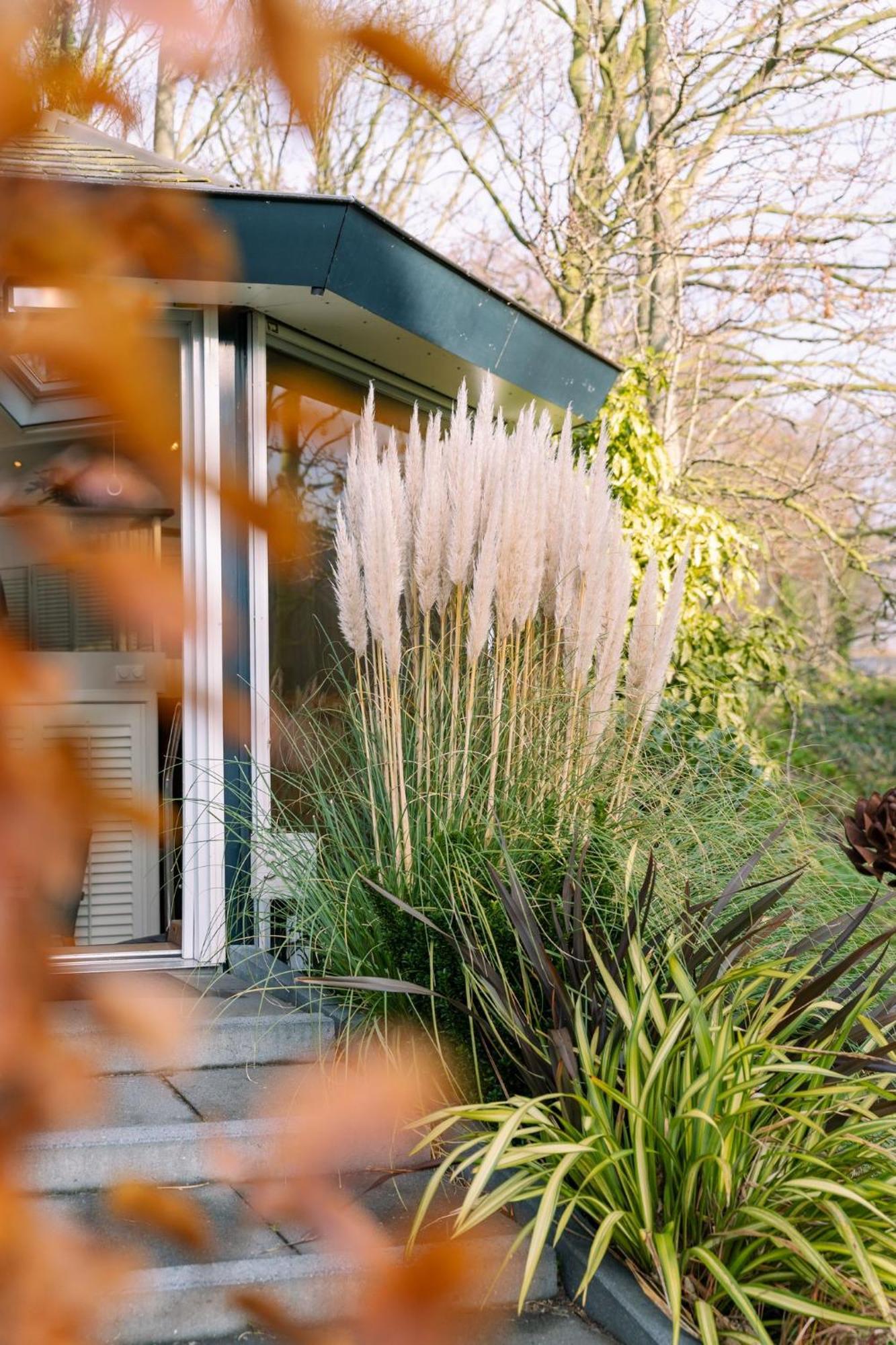 Superior Garden Suite